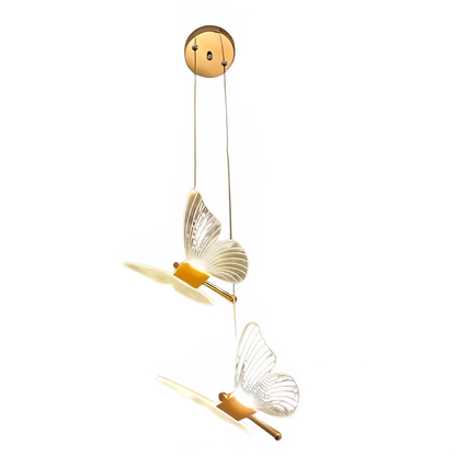 569d72dd-9c3b-4165-a2cf-40a2e5d9931d